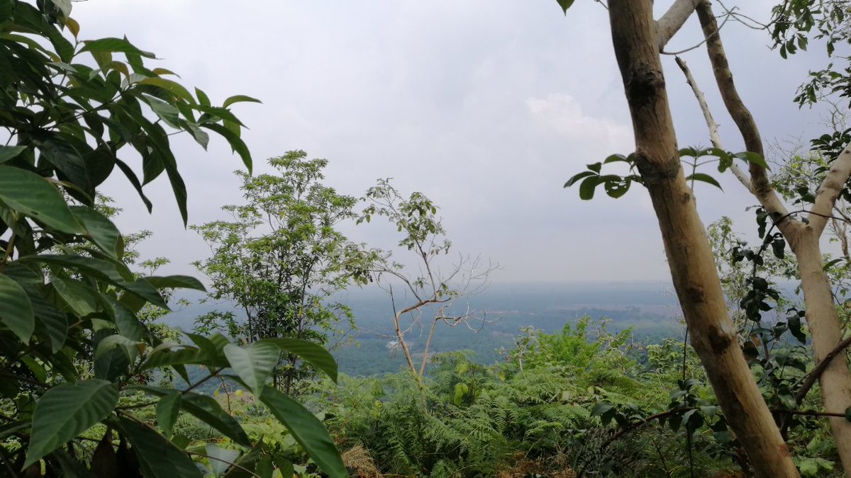 HusnaMimie's tweet photo. Love the view... 😍 
#HiddenTreasure
#euphoria
#anotherpeak
#PrivateProperty
#TrespassersWillBeProsecuted https://t.co/SngXc4vtJd