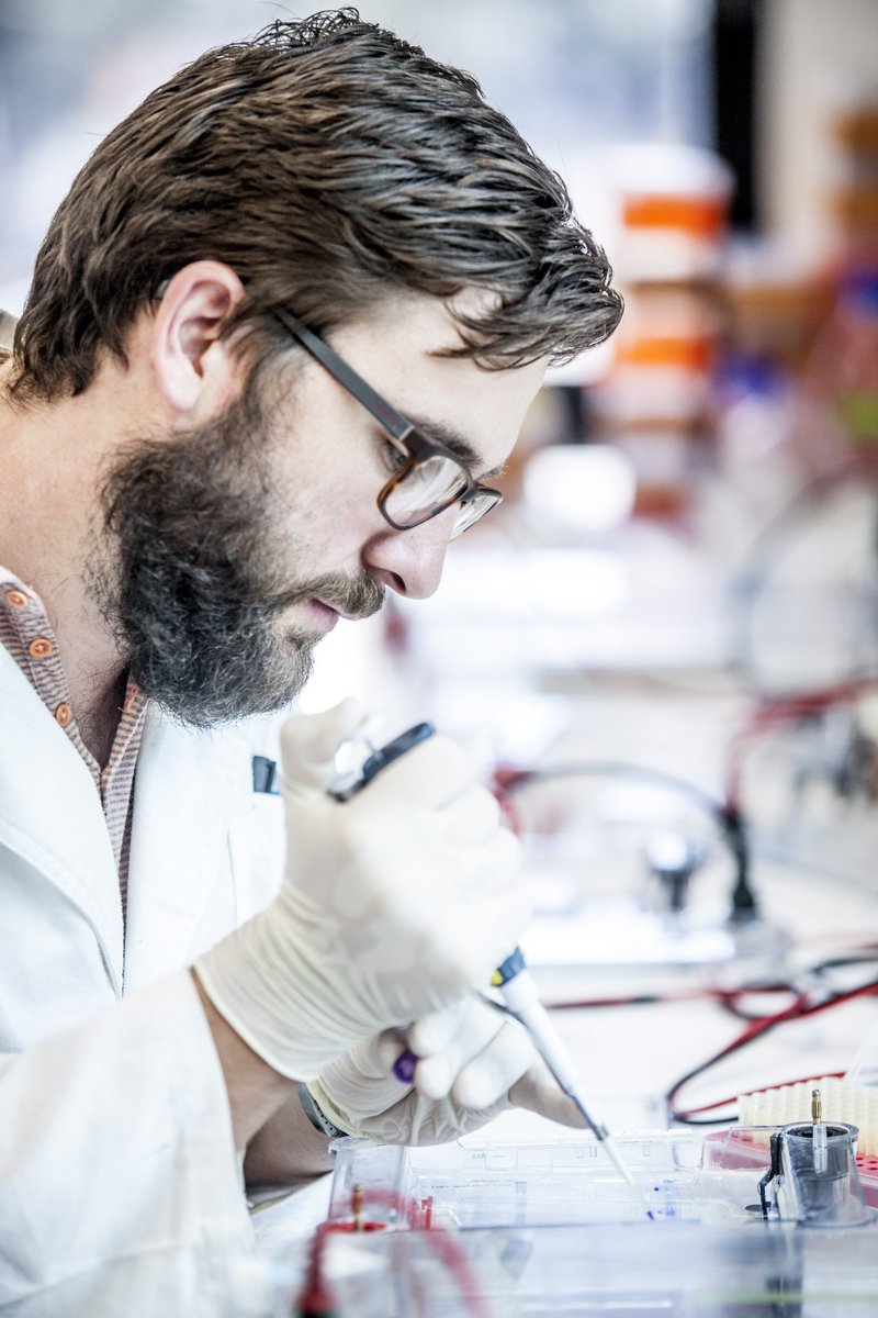 Monash_Science's tweet photo. Learn how to create a hydrogen "solar fuel" using our @ChemistryMonash solar cell and electrocatalysis research at 13 Rainforest Walk! #ChooseMonashScience #MonashOpenDay https://t.co/5gYfiTPOHw