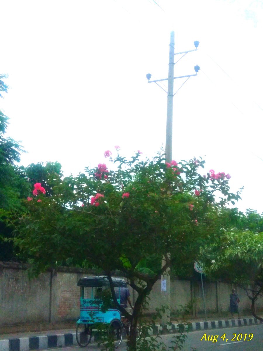 ShumonaIqbal's tweet photo. #Dhaka #Sunday #firstdayofweek https://t.co/EvwSAhS0gr