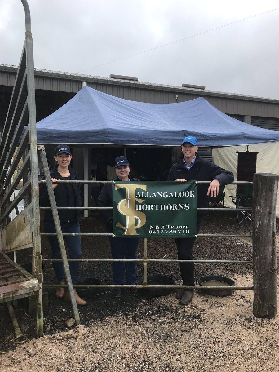 #Tablelands  Better Beef Day. <a href="/ANZ_AU/">ANZ Australia</a>  Proud to be supporting a local initiative where studs open their farms for the day. Great range of quality bulls here in FNQ.