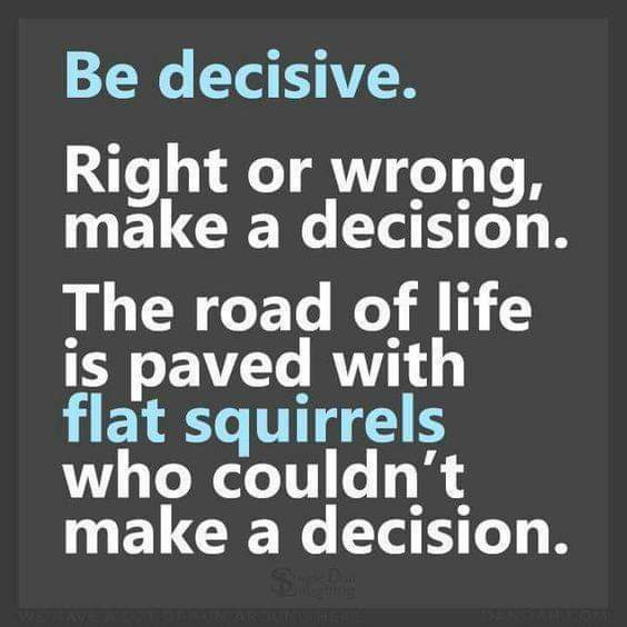 dragontatlisa's tweet image. #lifequotes #dontbeasquirrel 🤔👍😆
