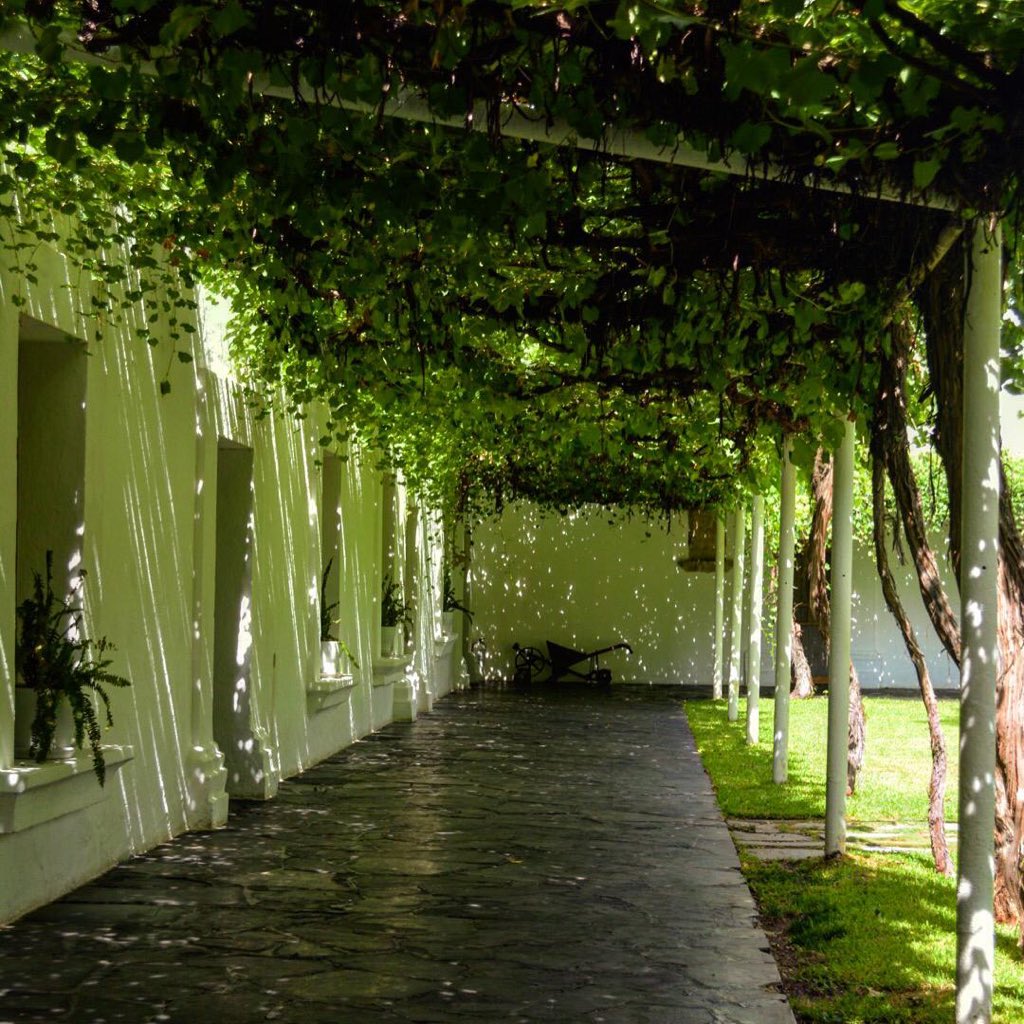 TorrucoTurismo's tweet photo. Muy buenas noticias para @Coahuila, el Pueblo Mágico Parras de la Fuente tendrá una nueva atracción turística: el Museo del Vino. Se convocará a enólogos de diversas casas vitivinícolas para elaborar el proyecto.  Coahuila continúa enriqueciendo su oferta turística. Felicidades https://t.co/O1A829RYRv