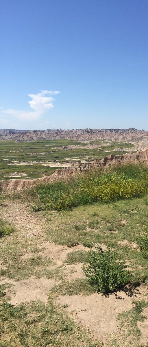 RetireesROAMING's tweet photo. Great day today!! We visited @BadlandsNPS and were overwhelmed by the beauty of the area. We also had pie ala-mode at #WallDrugstore in #WallSD. https://t.co/rQ5sXbQvet