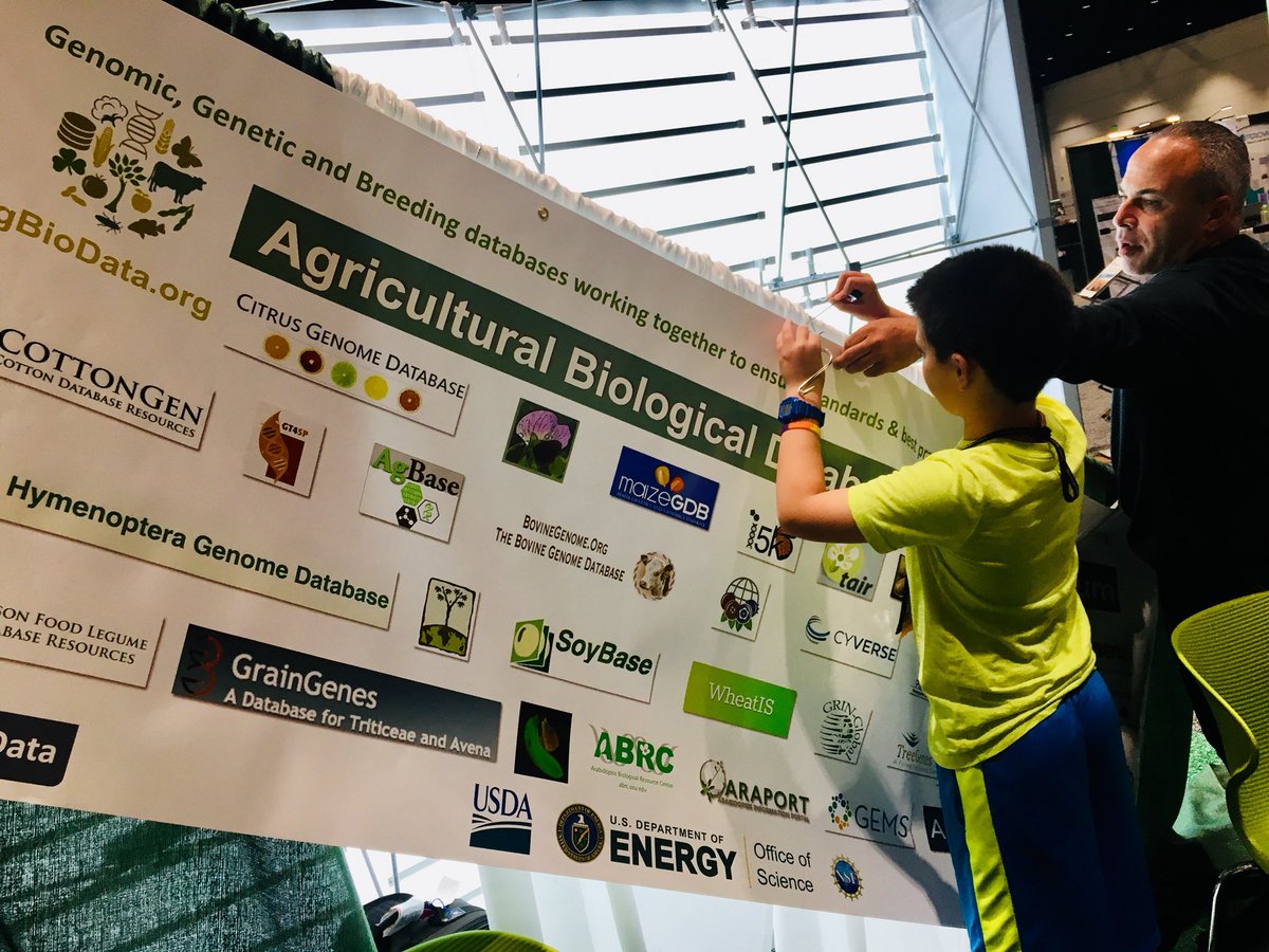 GrameneDatabase's tweet photo. It’s great to have little helpers at #PlantBio19 especially when your #AgBioData banner needs last-minute fixes! Thank you @ASPBPlantBioMtg for making childcare possible, you rock! https://t.co/yG99RARwsH