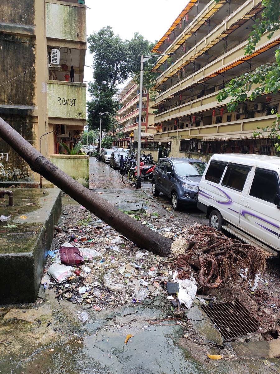 ghatkar88's tweet photo. @mybmc माहीम पोलिस वसाहत बिल्डिंग NO 17A च्या बाजूला झाड पडलं आहे कारवाई करावी ही विनंती https://t.co/wl4BXtBguA