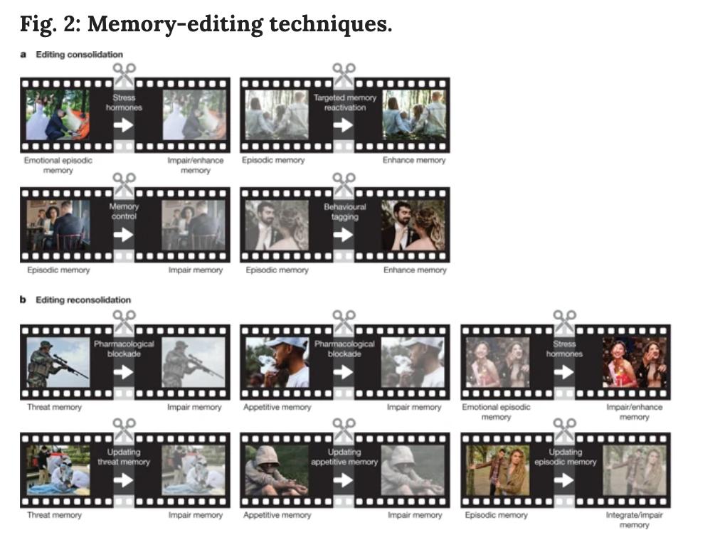 BioDecoded's tweet photo. Memory editing from science fiction to clinical practice | Nature
https://t.co/CIumPaci7J
#MemoryEditing https://t.co/8QMCZ3wC0B