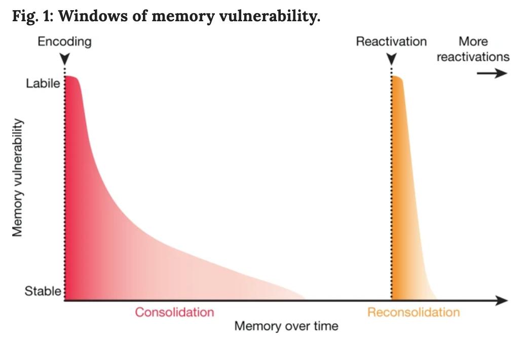 BioDecoded's tweet photo. Memory editing from science fiction to clinical practice | Nature
https://t.co/CIumPaci7J
#MemoryEditing https://t.co/8QMCZ3wC0B