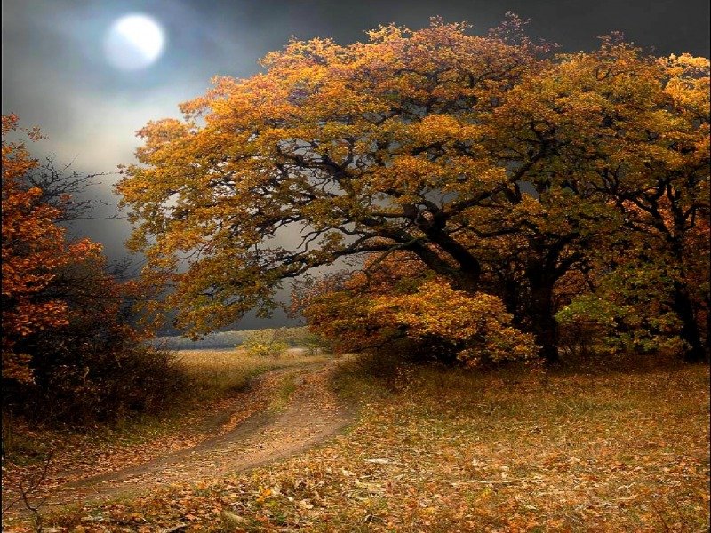 BrandonTriminio's tweet photo. Appreciate where you are in your journey, even if it’s not where you want to be. Every season serves a purpose. https://t.co/CkrQxkKgn6