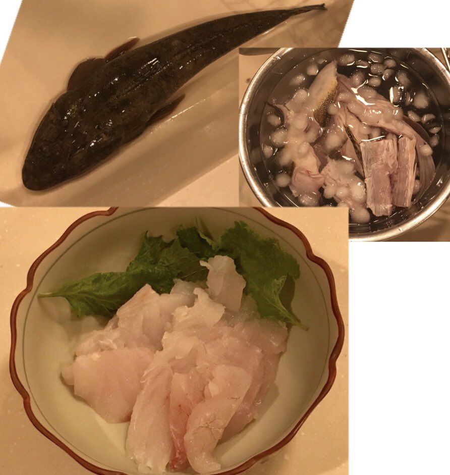 Vect50 こち という魚を 刺身にしました 美味しかったです アラは熱湯かけて冷やしてから潮汁に こちらも良かった