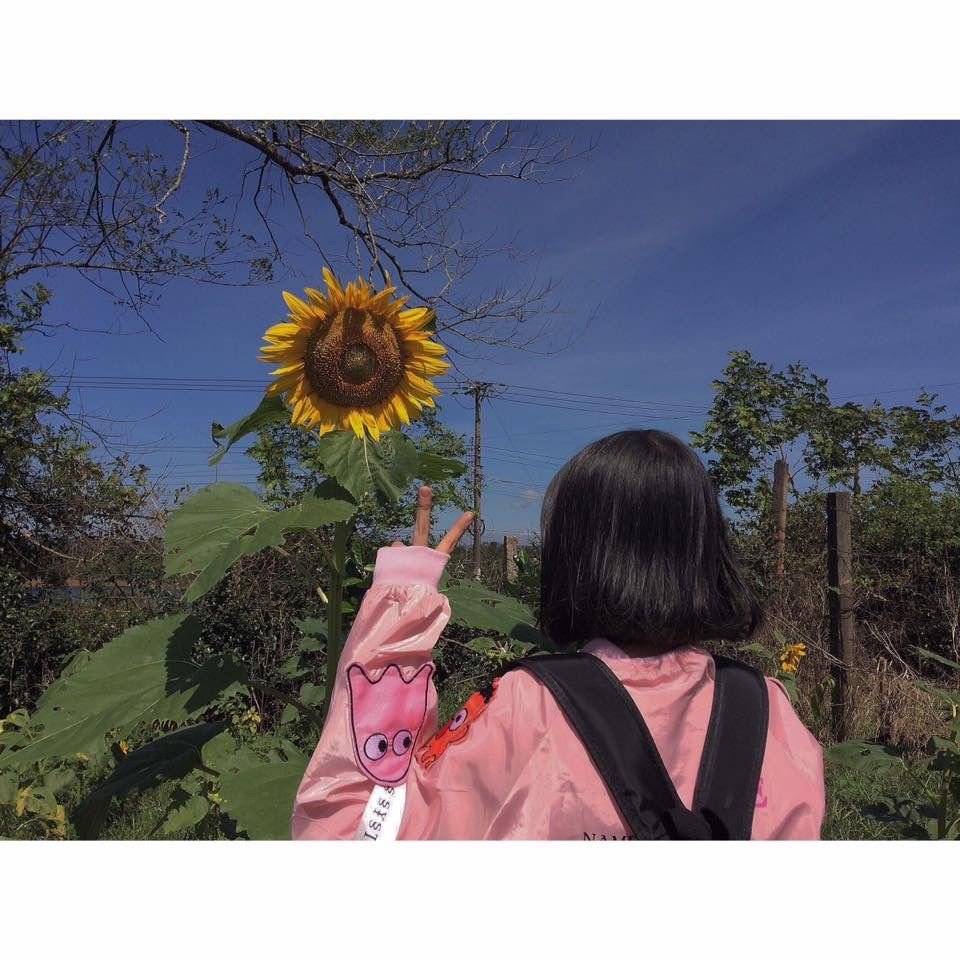 Min.💜|ปิดบอท tweet media