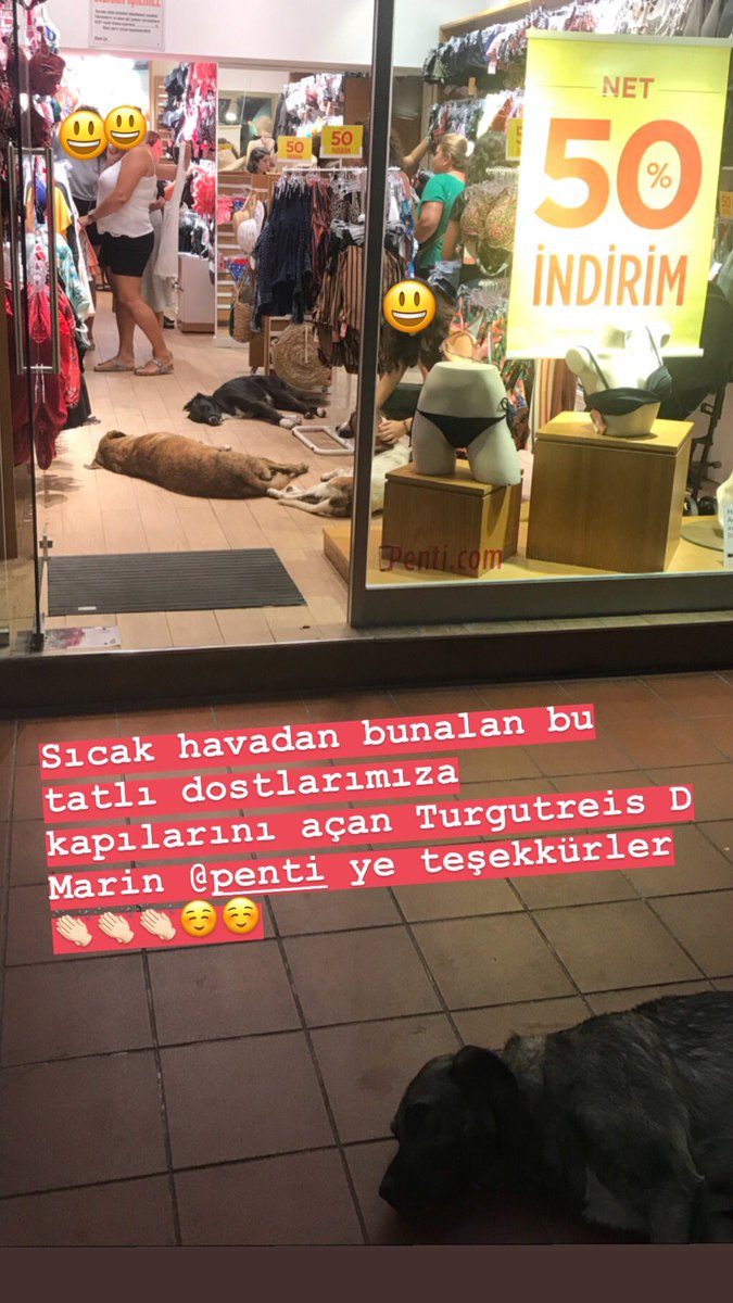 Sıcak havadan bunalmış bu tatlı dostlarımıza kapılarını açan Turgutreis D Marin Penti’ye teşekkürler 👏🏻👏🏻 <a href="/Penticorap/">Penti</a>