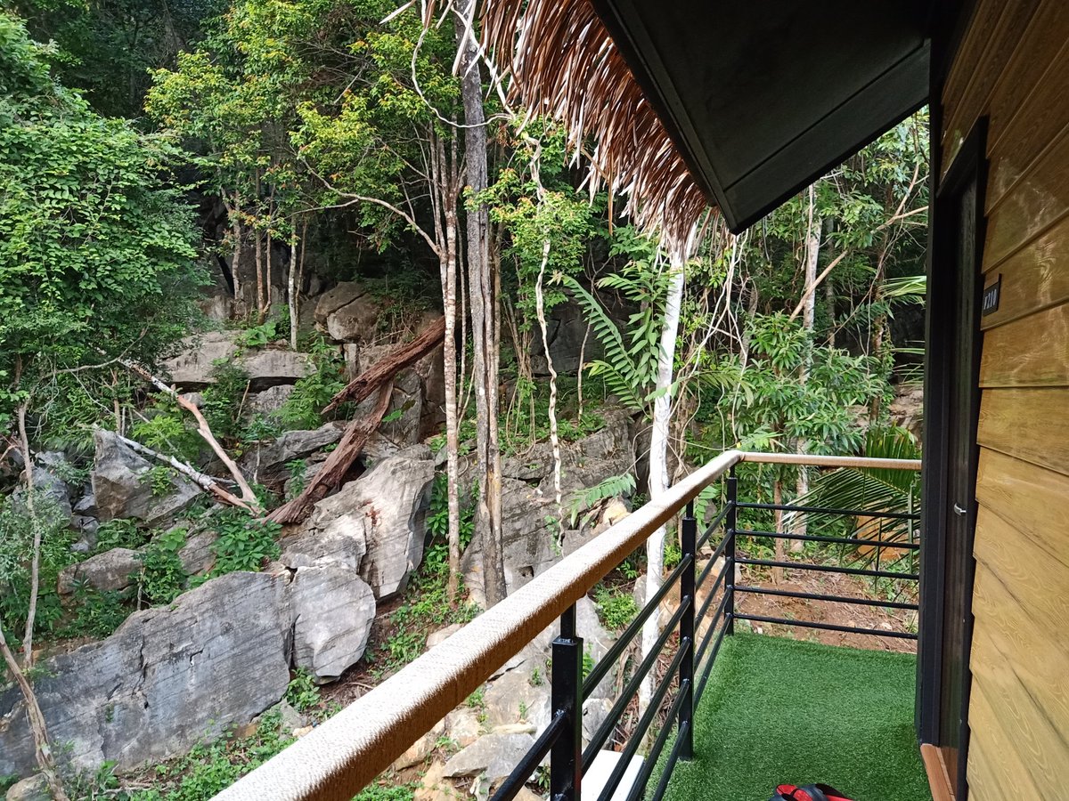 liburmy's tweet photo. Buka jer pintu resort, terus nampak kolam renang. Dahlah di kelilingi alam semula jadi, memang betul-betul privasi!

Lokasi : A Rock Resort, Pekan Kuah, Langkawi

#libur #liburMY #iamdeaktiv https://t.co/hKepPBS8kF