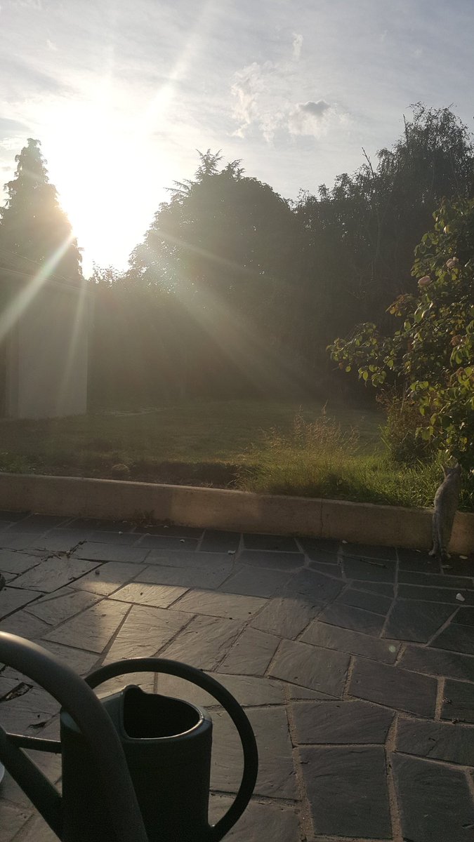 Charlote_m_'s tweet photo. Début de journée sous le soleil normand ! https://t.co/63Neyo5gs1