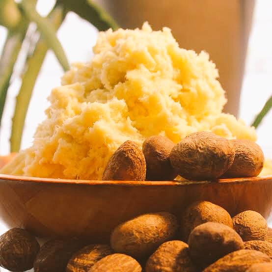 businessXplain's tweet photo. Nigeria is a top producer of SheaNut, and makes $350m from export. Shea is processed into a $4.3b butter market. Nigerian women, who control roughly 45% of Shea production in the world, have come together to build a N10b processing plant that will add more Shea value and revenue. https://t.co/meCw0xlpYN