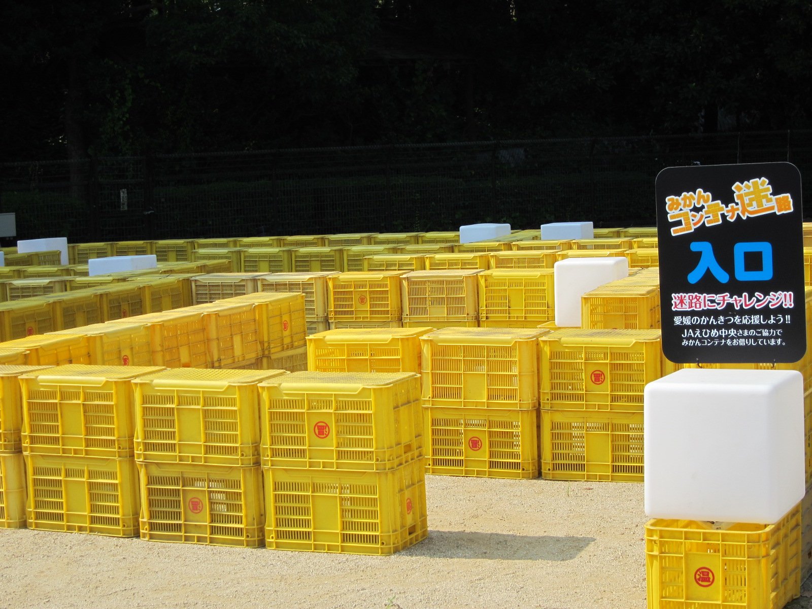 お譲り先決まりました】収穫用コンテナ みかんコンテナ 収納BOX 80個