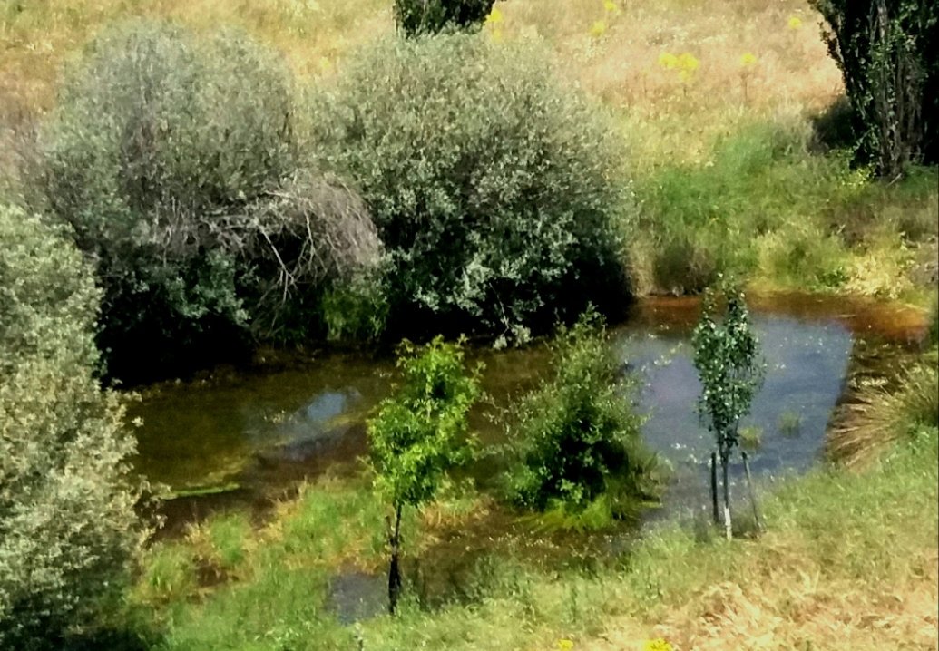 Santiago M. Barajas tweet media