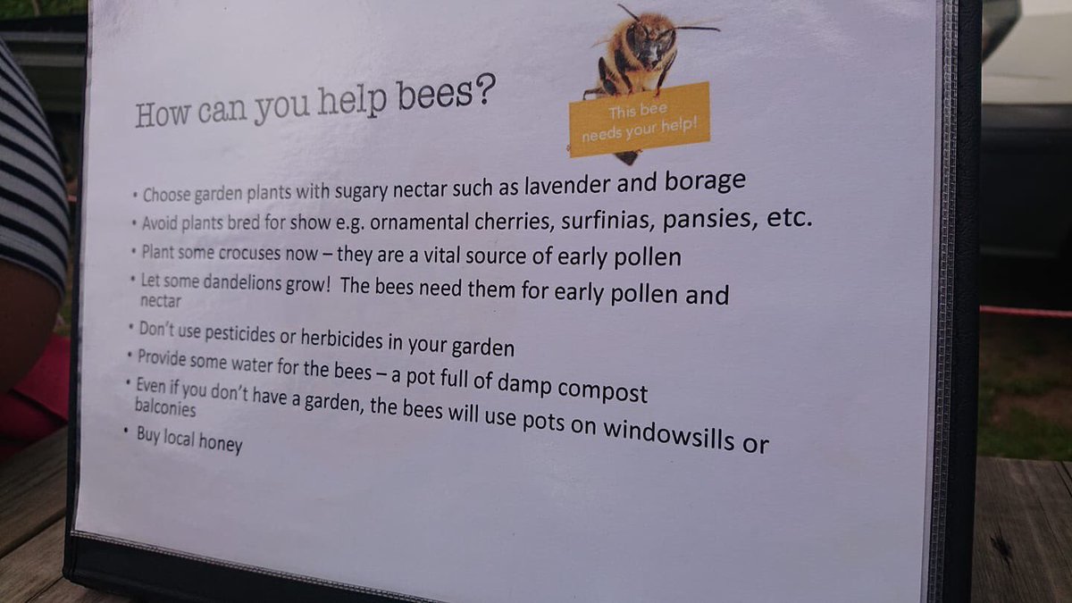 HanChiMan2016's tweet photo. @LavenderSurrey Thank you for an amazing Bee Safari experience. It was lovely and we have learnt so much 💓🐝 https://t.co/k50aSZa75k