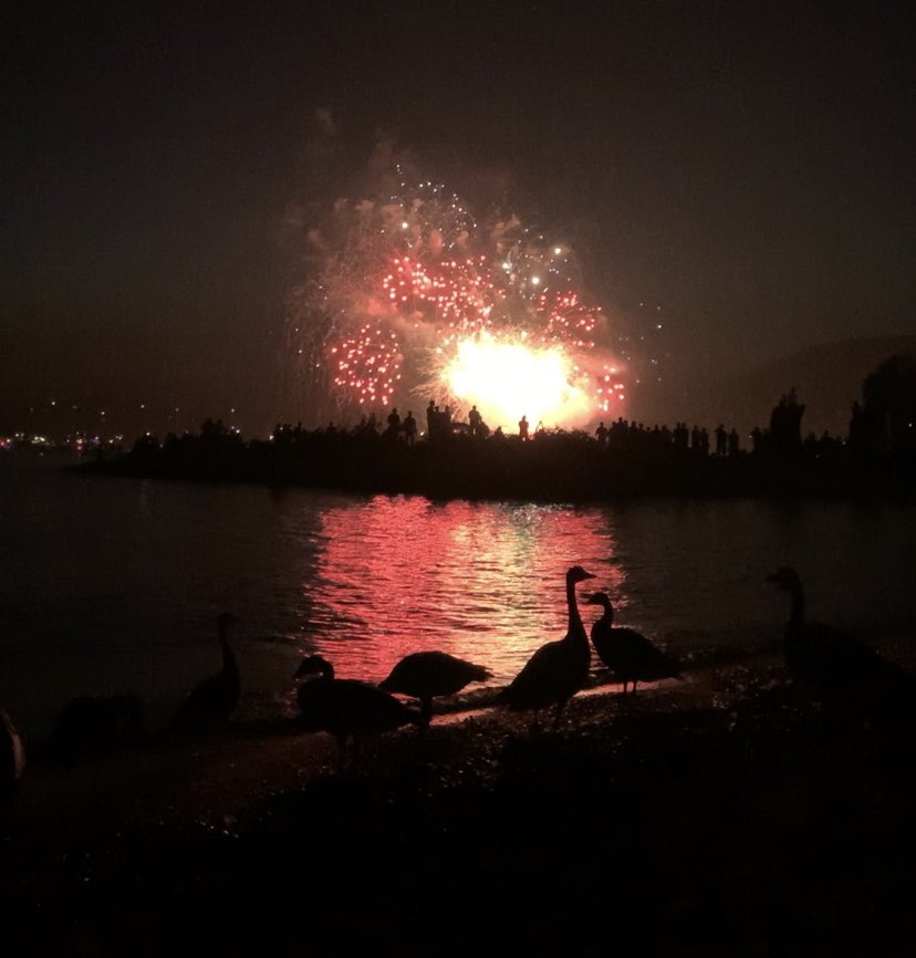 cbcErica's tweet photo. They know the best spots for fireworks’ viewing. #sunsetbeach #celebrationoflife #staycationweekend https://t.co/p6x2UeV2jf