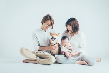 柴犬りんご郎の飼い主の家族構成は パパの仕事や収入とママ 娘のプロフィールも