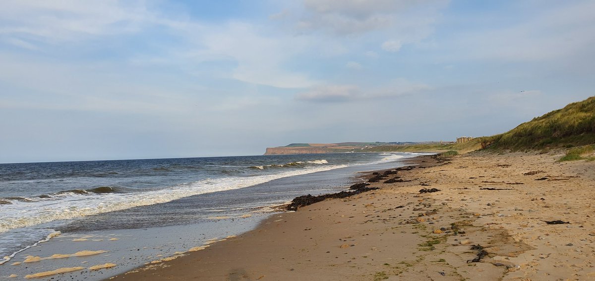 MsOHara71's tweet photo. Beach strolls and dog fun.. whats not to love @RedcarCleveland #clevelandway #freddog https://t.co/iGGr6vwO2V