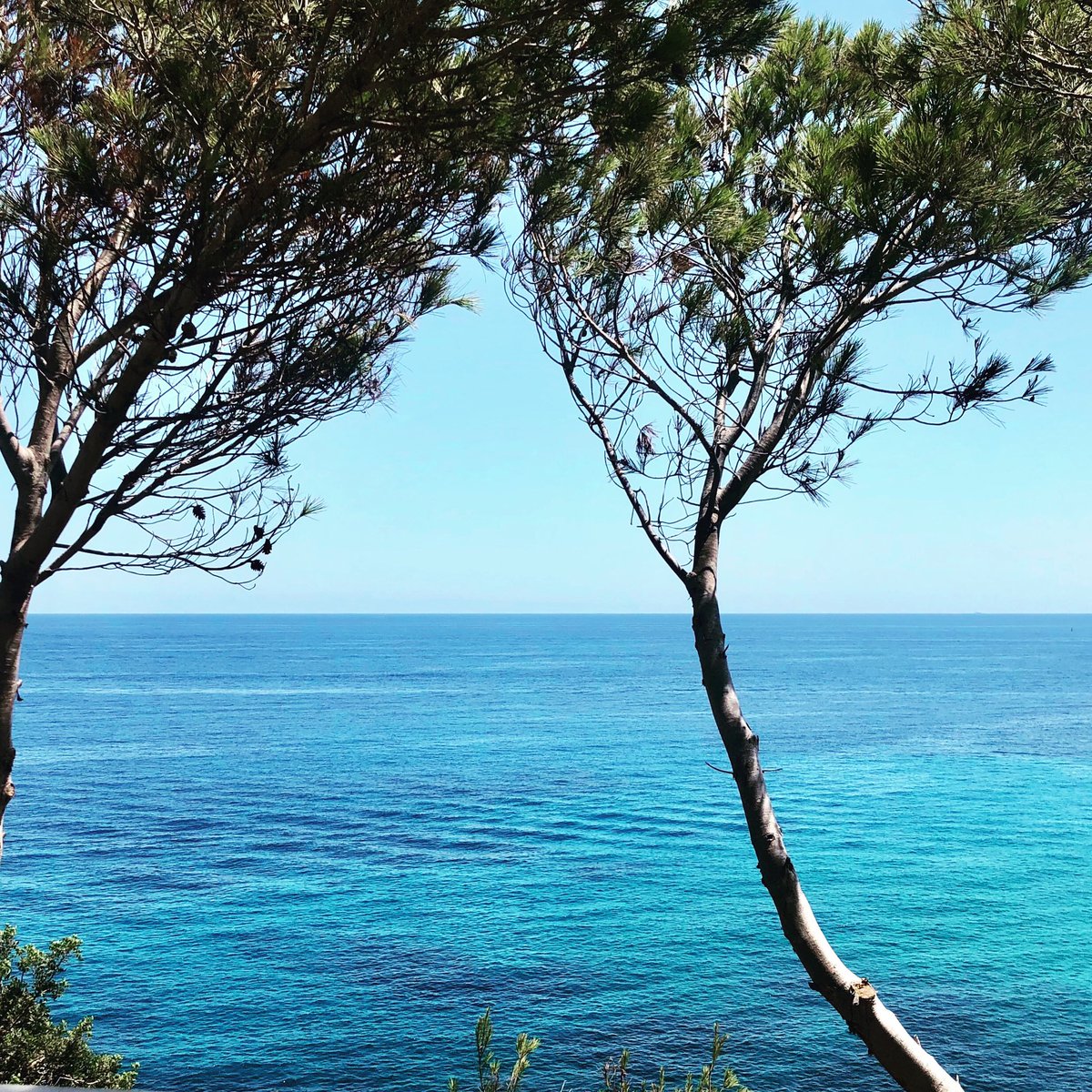 HallidayDesigns's tweet photo. Breathtaking is Ibiza - #noparty #perfectchill https://t.co/St9EPWyYM7