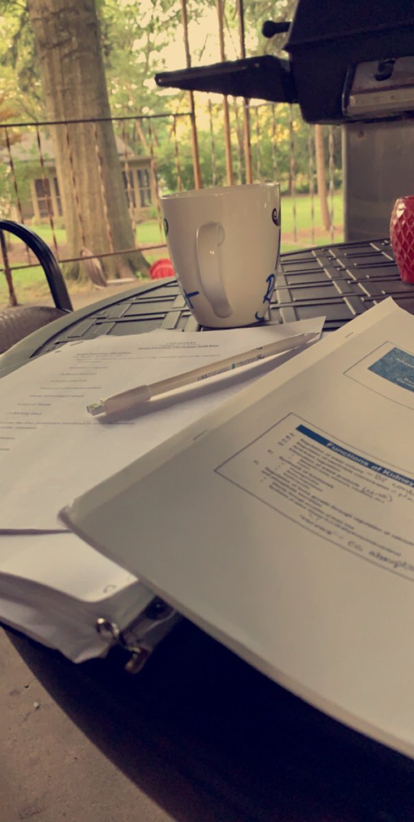 SparkySol's tweet photo. This early morning study session brought to you by @kingscoast 👌 https://t.co/RYObagKNGV