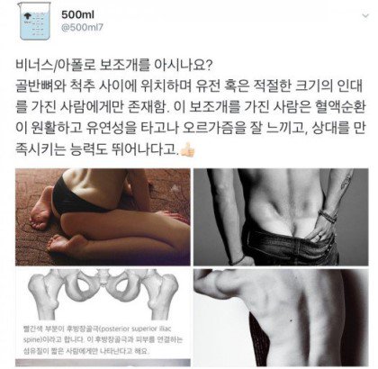 misterJJack's tweet photo. 디미니는 도대체 모자른게 모야?? https://t.co/zJeyvEDg5w