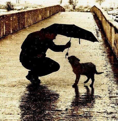 MohsinChirps's tweet photo. Happy Friendship Day --> Friendship for Human-beings and every type of creature! #HAPPYHAPPY #HappyFriendshipDay #creatures #AllTypesofCreatures https://t.co/Y8IKFTTFvF