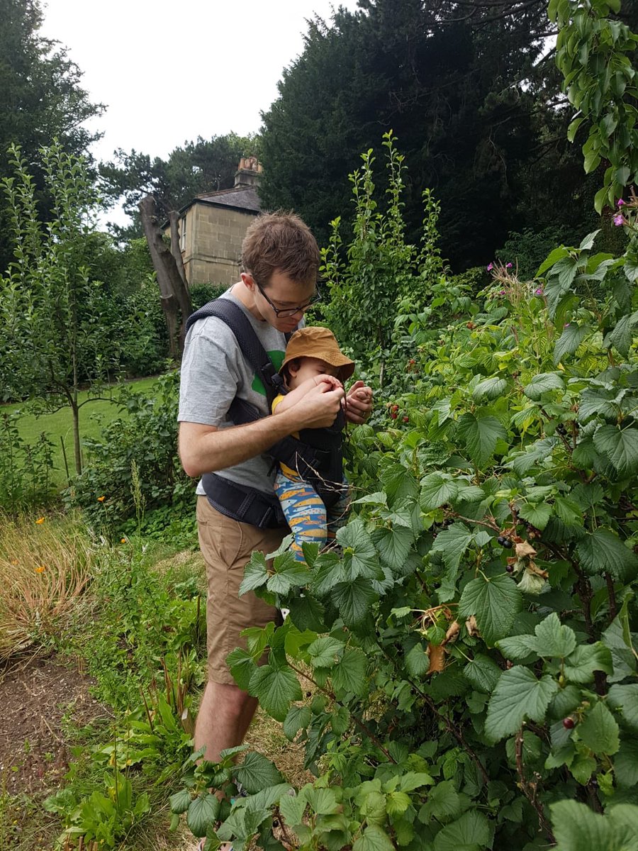 vegmead's tweet image. We’re harvesting more of our blackcurrents today- head down to the #Vegdrop at the top of #Walcot Parade to up some free fruit @wildwalcot @BathFoodCycle @GreenBathNES