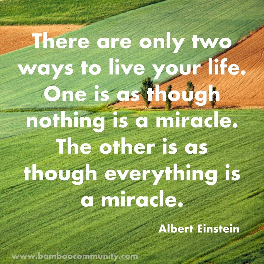 bamboo_tweet's tweet photo. Is there something that seems miraculous to you? What impact does this have on your life?

#bamboocommunity #quoteoftheweek #alberteinstein #miracle #contemplation https://t.co/sgMVvBjrI6