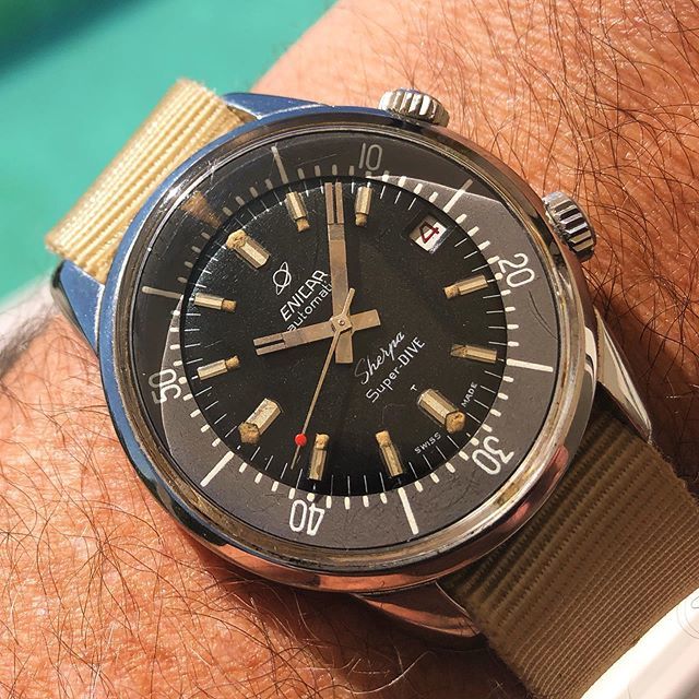 WatchFred_IG's tweet photo. #vintagediver ❤️
.
#Enicar #SuperDive - one of my favourite vacation watches (actually like it just fine all year)
.
#watchesofinstagram #diver #divewatch #watchfam #watchfred #supercompressor #EPSA #icon https://t.co/t5H1YO45gl https://t.co/iBL4zIrfou