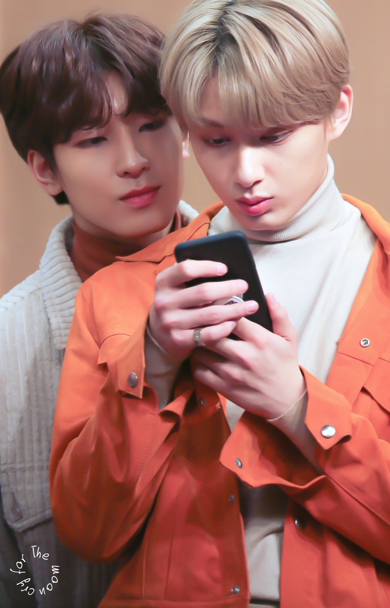 🐱🐯🐈‍⬛🍚 on X: 