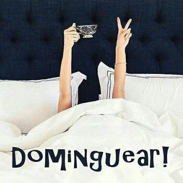 Cris Renault 🥂🥂 tweet media
