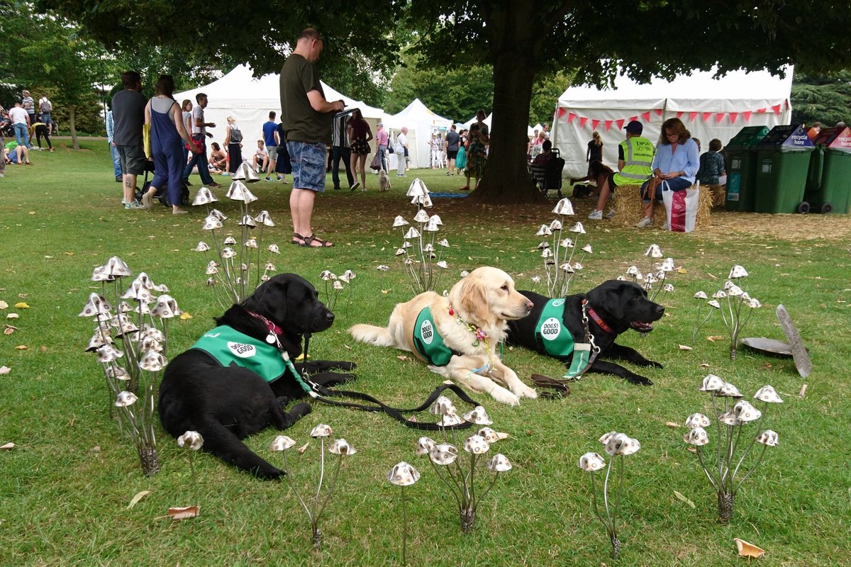 StangerMoore's tweet image. Busy beautiful #sunday @AITPLeamington , wonderful crowd, fabulous #artwork #AITP19 #leamington.Much love and light to everyone xx