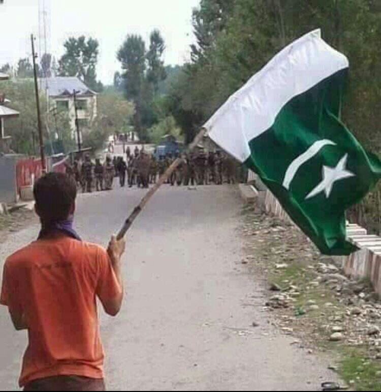 AnwarLodhi's tweet photo. A very powerful image of the peaceful struggle of Kashmiris. No #OperationAllOut can stop their freedom struggle spanning 70 years. #KashmirBleeds as #IndiaUsingClusterBombs . However, the struggle of Kashmiris will continue.
#SaveKashmirForHumanity
#SaveKashmirSOS
#SaveKashmir https://t.co/3gtbHfsZy4