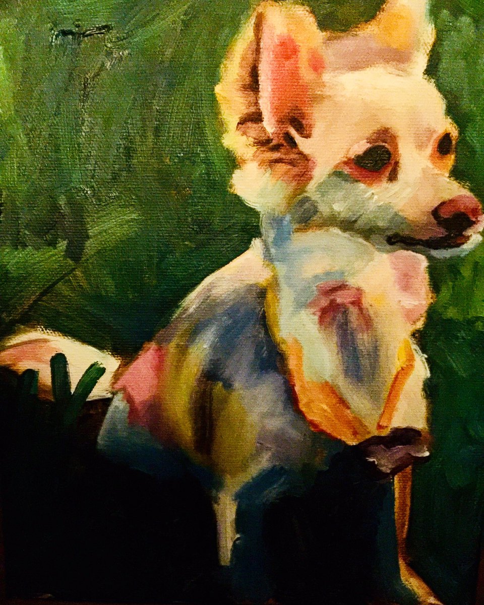 SappyPetLoss's tweet image. In Memory of Sappy, whom the Sappy Pet Loss Support Group was named for. See you at #RainbowBridge sweet pup! #16YearsAgoToday