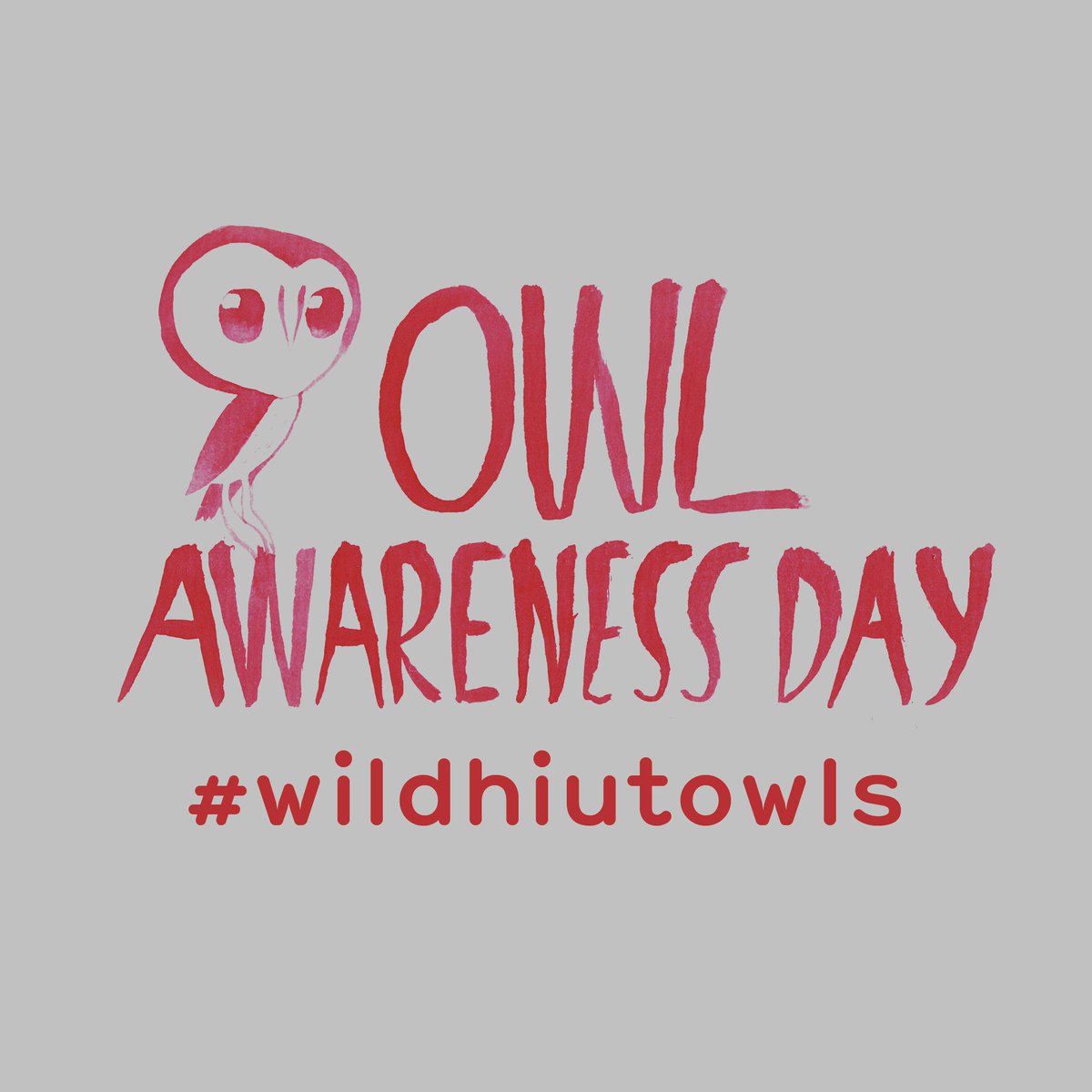hiutdenim's tweet photo. Today is International Owl Awareness Day!

If you spot the Hiut Owl out in the wild (or in a wash basket) take a pic and tag it with #wildhiutowls — the best ones will get a specially designed Teat-owl by the brilliant @sewellspotnjot

Ends Midnight 4th Aug GMT.

#OwlAwarenessDay https://t.co/HSK4xnwOoF