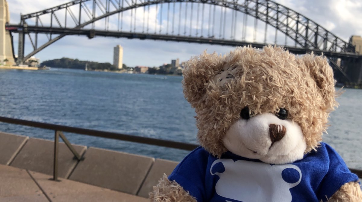 grahamquince's tweet photo. #widgetontour in Sydney. He’s keeping me company while we visit schools out here for @FrogEducation https://t.co/K1lnp5wDuZ