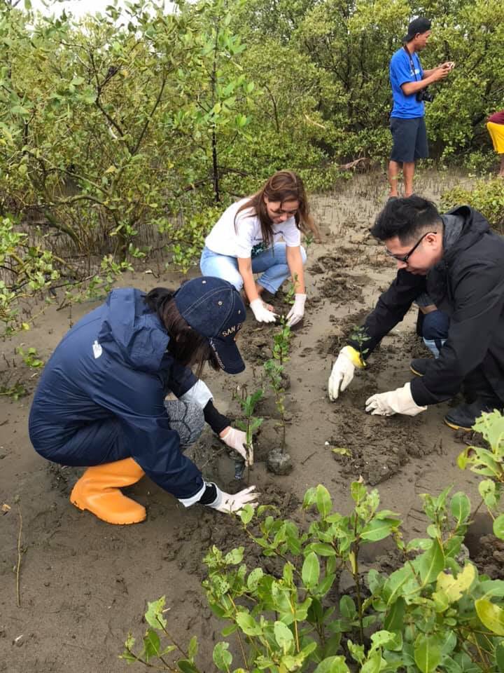philchestorg's tweet photo. Mangrove tree planting was held in Katunggan Mangrove Eco Park Leganes by the PCCP Iloilo Chapter, well done! #PUSHMoLungs
#HealthyAirNow #CommitToCleanAir https://t.co/GtNrMEnCxn