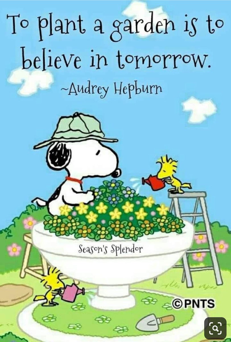 SuziLDavis's tweet image. #SundayMorning #Believe #helpothersgrow #dream