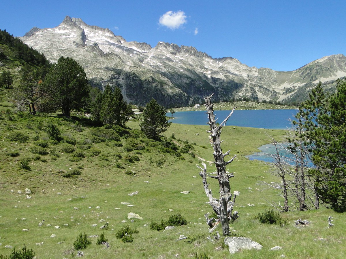 Neuville, el reflejo de los lagos glaciares
Artículo completo: 
territorionaturaleza.blogspot.com/2019/08/neuvil…
#Paisaje #PirineoFrances #Montaña #Biodiversidad @ES_FranceFR <a href="/RutasPirineos/">Rutas Pirineos</a> <a href="/EPirineos/">Experiencia Pirineos</a> @CTPPOCTEFA 
#territorionaturaleza #lagosglaciares #CambioClimatico