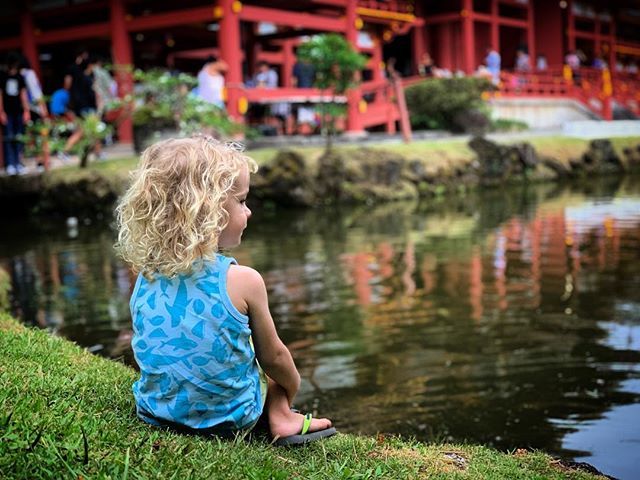 jfabs's tweet photo. Waiting for the lanterns. 
#luckywelivehawaii #byodointemple #toddlersofinstagram #toddler #kaneohe https://t.co/5yFfqNTeas https://t.co/w7qVvcJTT0