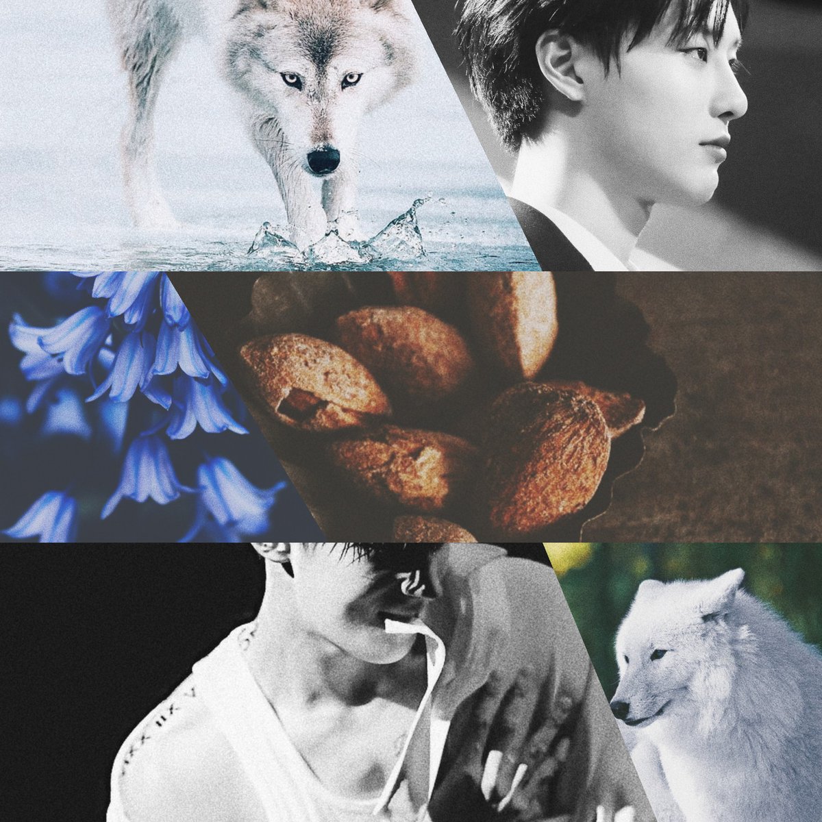 sunflowerbear07's tweet photo. ⚔ 𝙋𝙡𝙨𝙍𝙏 | #2alphachohan
Title : To Alpha 1/?
Pairing : #CHOHAN #โชฮัน #ทรูซึง #ทรูซึงฟิค
𝗜 𝗻𝗲𝘃𝗲𝗿 𝗰𝗿𝗮𝘃𝗲𝗱 𝗮𝘁𝘁𝗲𝗻𝘁𝗶𝗼𝗻,
𝘂𝗻𝘁𝗶𝗹𝗹 𝗜 𝘁𝗮𝘀𝘁𝗲𝗱 𝘆𝗼𝘂𝗿𝘀
🔗https://t.co/Kq896ZmwwR
- 𝙚𝙣𝙟𝙤𝙮 - https://t.co/xmE6vs977l