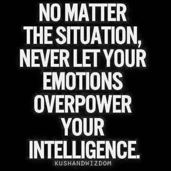 FLPROTWEETS's tweet photo. Subscribe to the FLPro Podcast: https://t.co/uoBJ0uhD6j #enjoyyourself #financialasset #chooselife #FLPro #passiveincome #residualincome #purpose #networking #freedomisnotfree #paidonbills #flp #nextgen #health #wealth #happiness #education #elevation #… https://t.co/4kL2hZll0T https://t.co/CqvByP7gCE