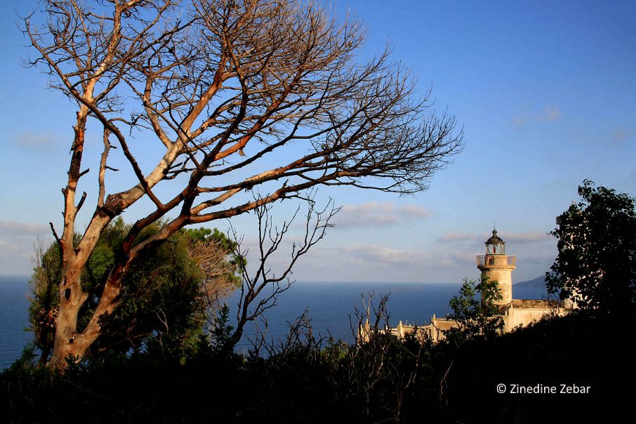 zebarzinou's tweet photo. Balade d'été
#Chetaibi #Annaba #Algerie #Algeria #Phare #Lighthouse
La plus belle baie au monde,avec son #Cap_Tekouch au milieu des forêts d'eucalyptus, de pinèdes et de chênes, et les fleurs des champs parfumées,avec les sept grottes du cap #Tekouch,Copyright Zinedine Zebar https://t.co/QRIwPwnZyB