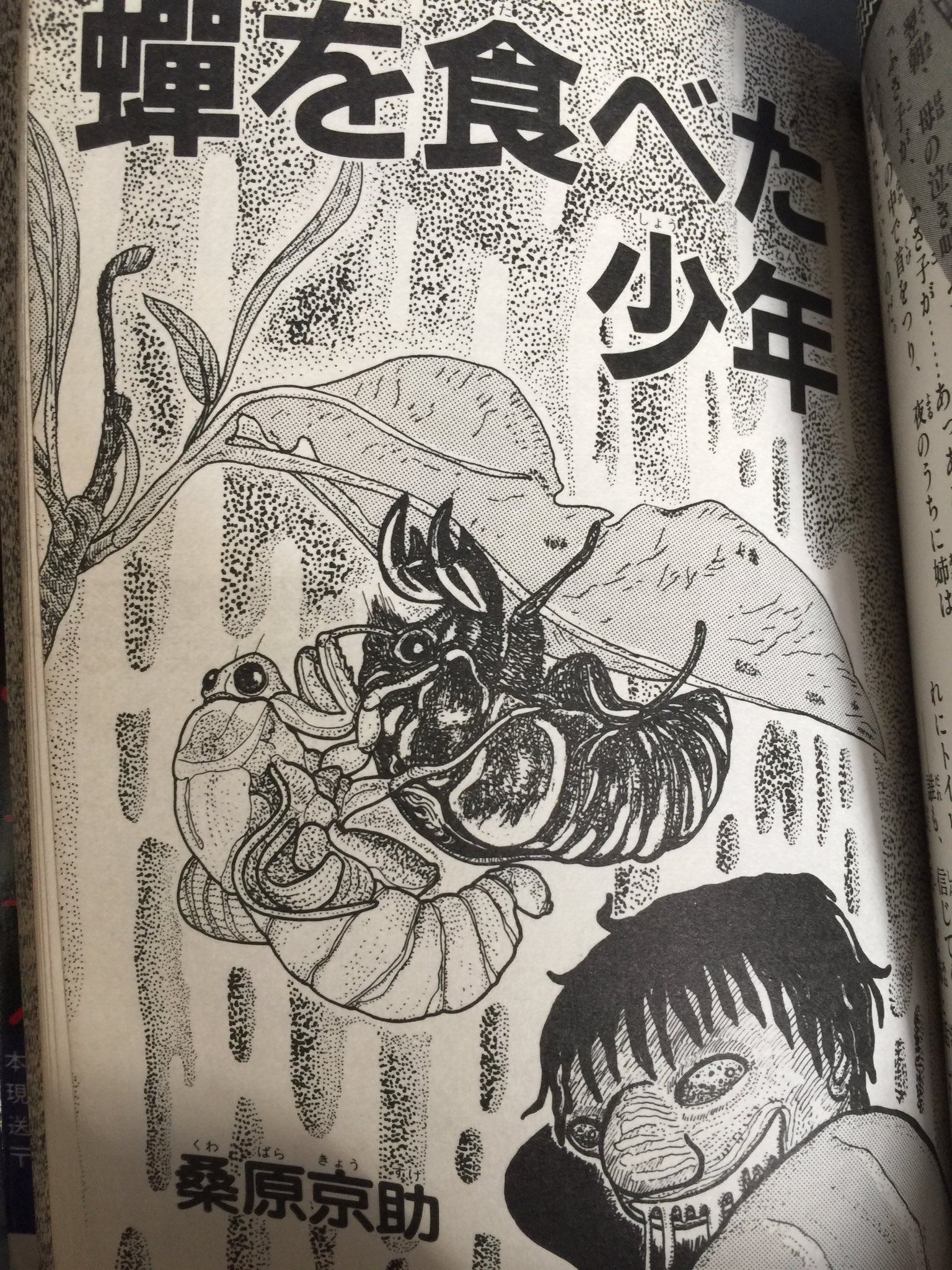 𓆑𝕊𝕦𝕘𝕒𝕣𓆓𓅱𓄿 on X: 今年もこの季節が来たな。 #蝉を食べた少年 #ケイブンシャ #ケイブンシャの大百科  t.cou7W1o0GpBI  X