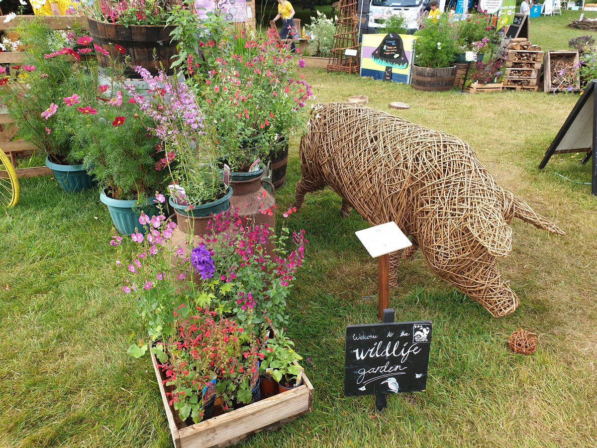 lizshearer_'s tweet image. "If you build it...they will come" well, we built the #wildlife garden in the wildlife zone for #CountryfileLive and so far we have had bees and butterflies and even a toad move in! @BBOWT