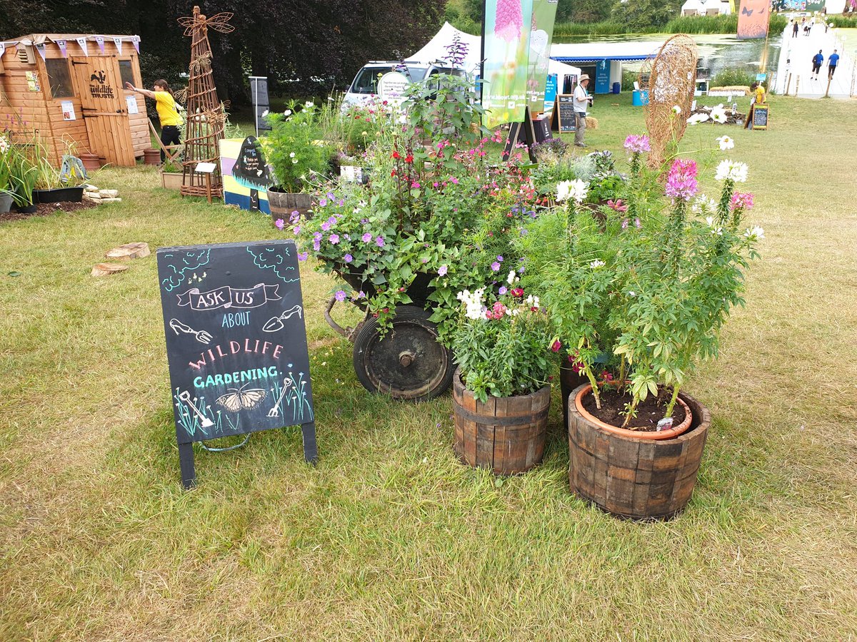 lizshearer_'s tweet image. "If you build it...they will come" well, we built the #wildlife garden in the wildlife zone for #CountryfileLive and so far we have had bees and butterflies and even a toad move in! @BBOWT