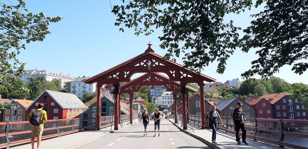 Francy_Maggioni's tweet photo. Wonderful week in #trondheim #NTNU for the #ICSP2019 conference on #stochastic #optimization. Meeting friends and colleagues and sharing new research ideas! https://t.co/VhHC9e9oiD https://t.co/LA8zut3Sdp