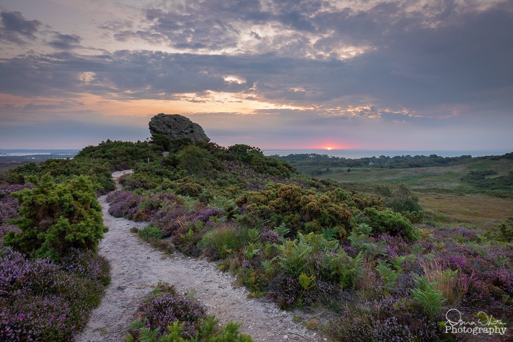 donnawhitenz's tweet photo. Captured a lovely sunrise this morning (and parking ticket 😡) at #AgglestoneRock #Dorset #ThePhotoHour https://t.co/zC1qHr4Ccn